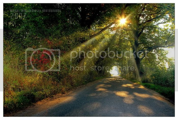 sun light photos