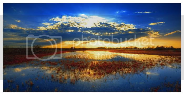 sun light photos