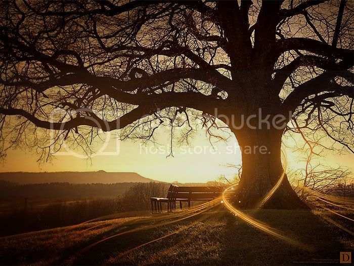 sun light photos