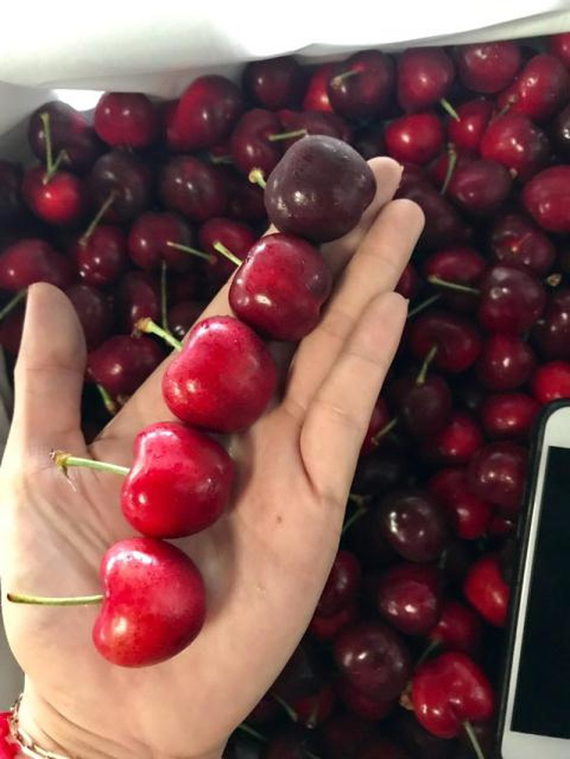 Thương chiến kéo tụt giá cherry: Hàng Mỹ hay đồ Trung Quốc? - 3