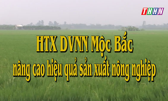 NTM: HTX DVNN Mộc Bắc nâng cao hiệu quả SXNN