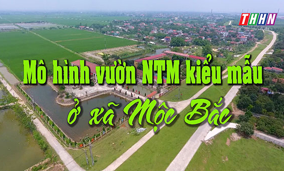 PS: Mô hình vườn NTM kiểu mẫu ở xã Mộc Bắc