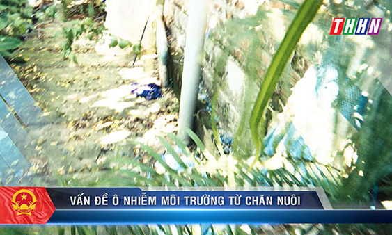 CQCNVCT: Vấn đề ô nhiễm môi trường từ chăn nuôi