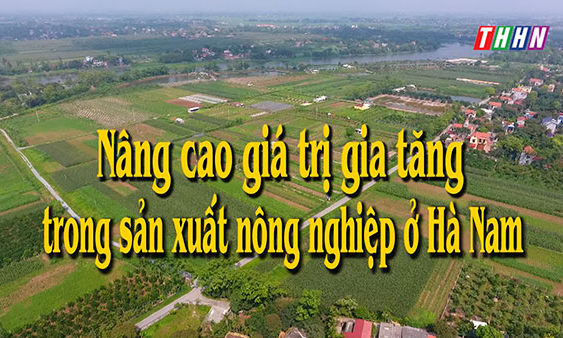 HNPT: Nâng cao giá trị gia tăng trong sản xuất nông nghiệp ở Hà Nam