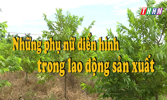 PS: Những phụ nữ điển hình trong lao động sản xuất