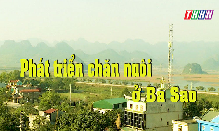 NTM: Phát triển chăn nuôi ở Ba Sao