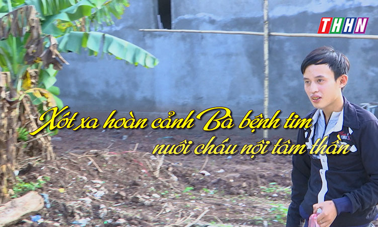 NRYT: Xót xa hoàn cảnh Bà bệnh tim nuôi cháu nội tâm thần
