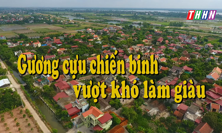 NTM: Gương cựu chiến binh vượt khó làm giàu