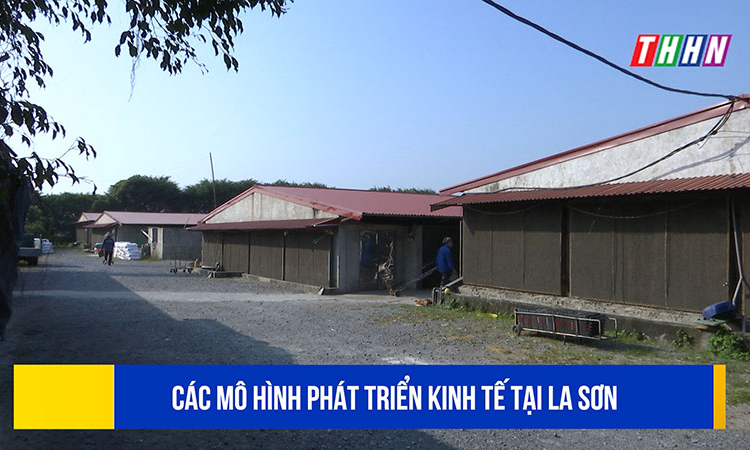 PS: Các mô hình phát triển kinh tế tại La Sơn