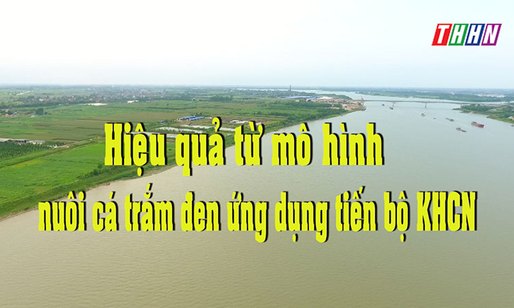 NTM: Hiệu quả từ mô hình nuôi cá trắm đen ứng dụng tiến bộ KHCN