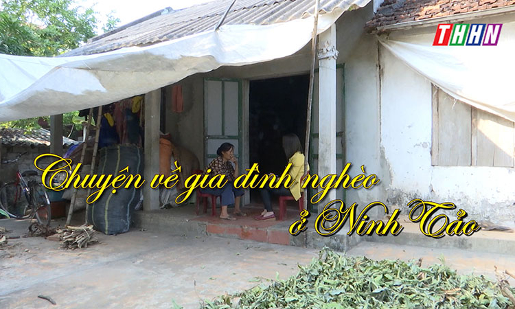 NRYT: Chuyện về gia đình nghèo ở Ninh Tảo
