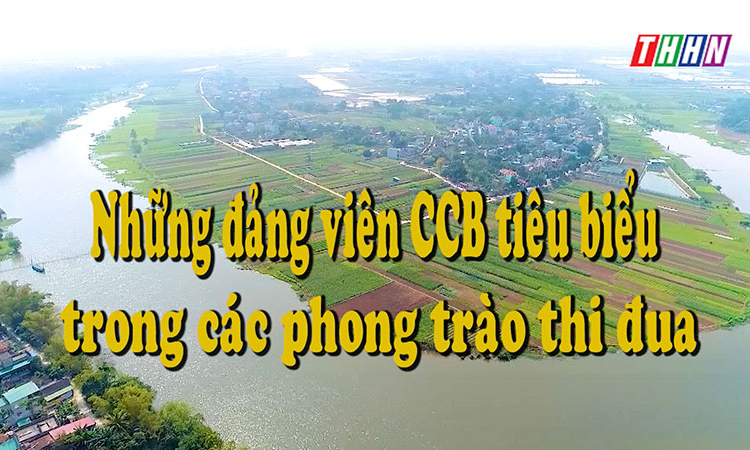 XDĐ: Những đảng viên CCB tiêu biểu trong các phong trào thi đua