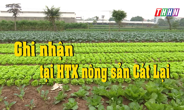 NTM: Ghi nhận tại HTX nông sản Cát Lại