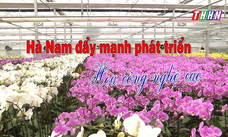 PS: Hà Nam đẩy mạnh phát triển hoa công nghệ cao
