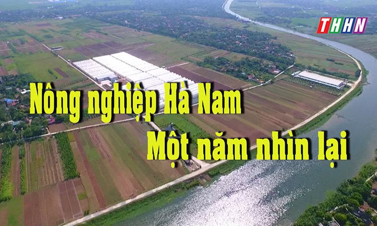 NTM: Nông nghiệp Hà Nam - Một năm nhìn lại
