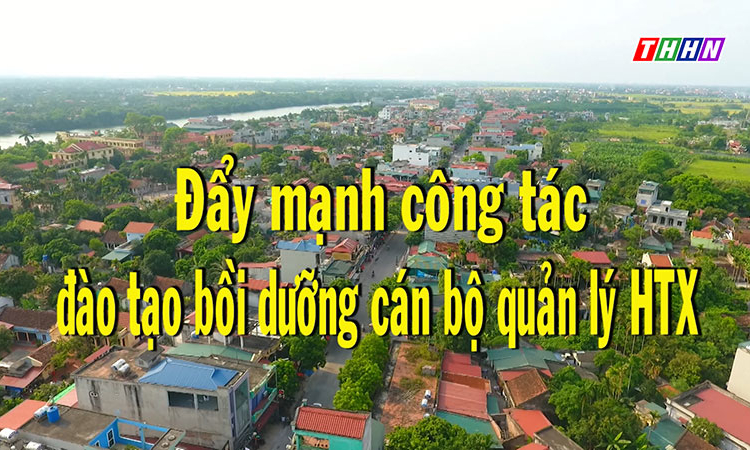 NTM: Đẩy mạnh công tác đào tạo bồi dưỡng cán bộ quản lý HTX