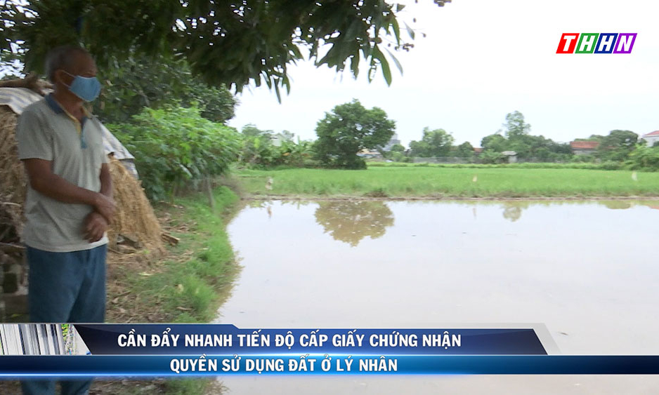 VDHN: Cần đẩy nhanh tiến độ cấp giấy chứng nhận quyền sử dụng đất ở Lý Nhân