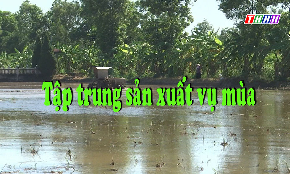 NTM: Tập trung sản xuất vụ mùa