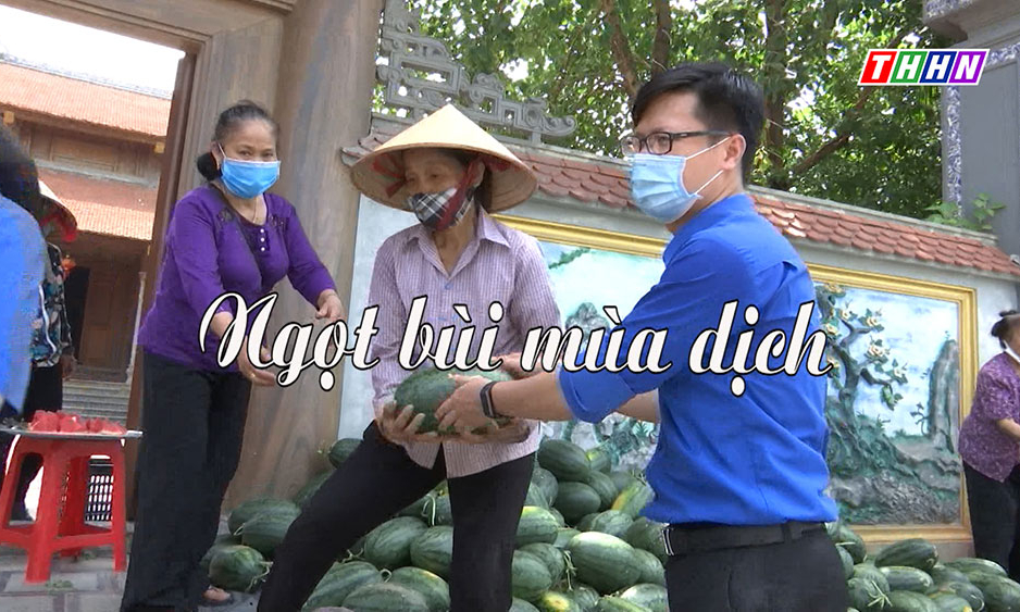 GNVH: Ngọt bùi mùa dịch