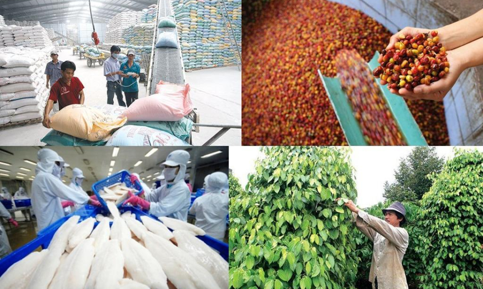 Tiềm năng thương mại điện tử xuyên biên giới Việt Nam – EU