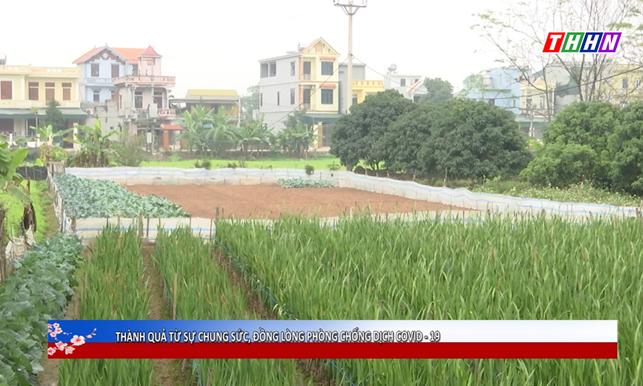 Phóng sự: Thành quả từ sự chung sức, đồng lòng phòng chống dịch Covid-19