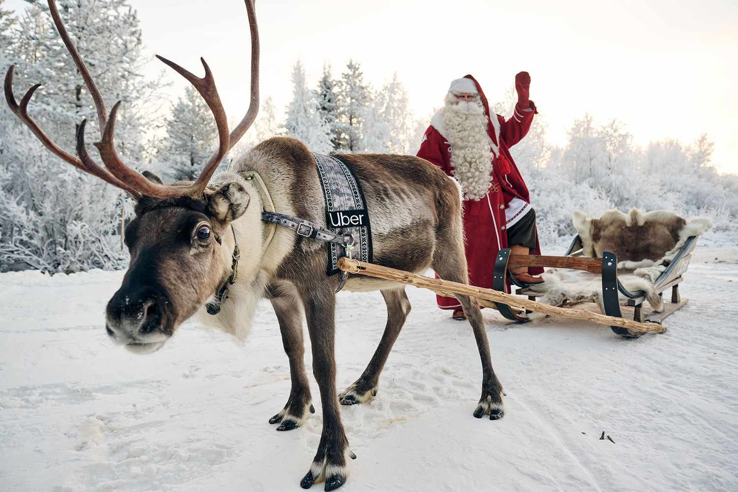 Ghé thăm 'ngôi làng ông già Noel' đẹp như cổ tích ở Phần Lan