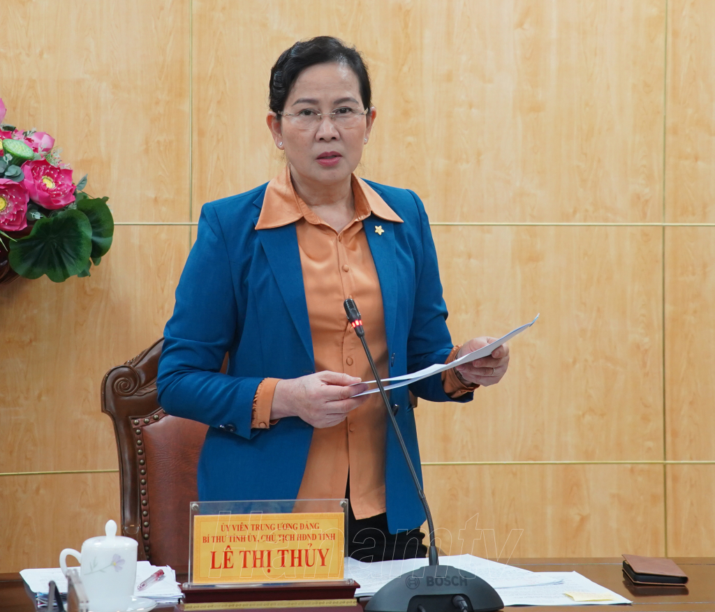 Đồng chí Lê Thị Thủy, Ủy viên TW Đảng, Bí thư Tỉnh ủy, Chủ tịch HĐND tỉnh, Trưởng Ban chỉ đạo tỉnh về phòng, chống tham nhũng, tiêu cực phát biểu chỉ đạo hội nghị.