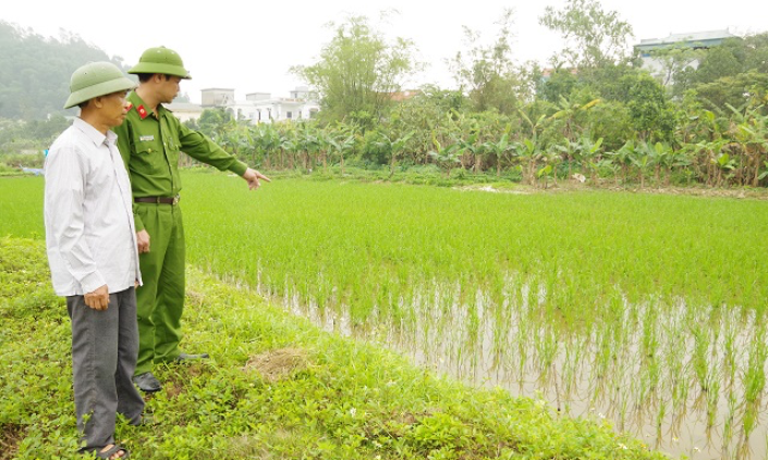 Đặt bẫy điện bắt chuột khiến hàng xóm bị điện giật tử vong