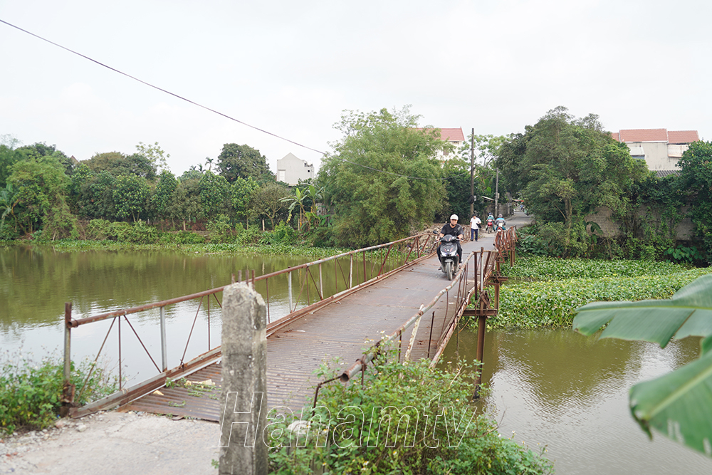 Cây cầu kết nối