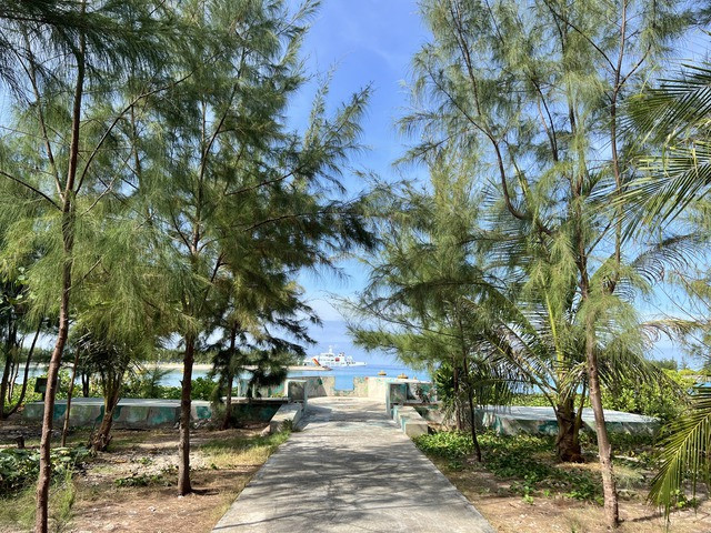 Yêu Trường Sa từ những điều nhỏ bé - Ảnh 1.