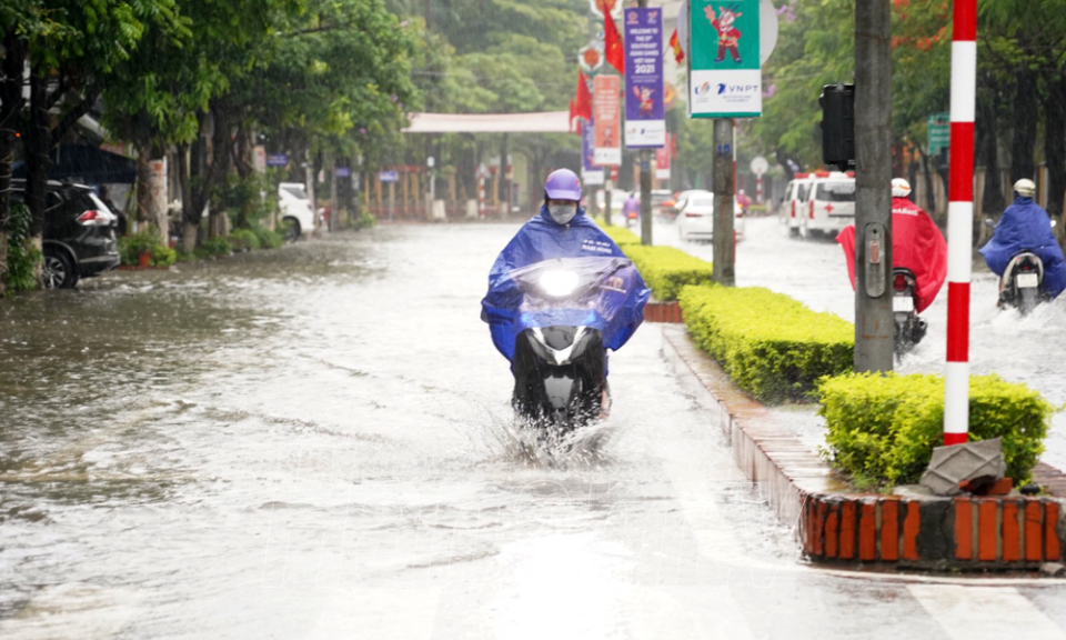 Hà Nam: Chủ động ứng phó mưa dông, mưa lớn kèm lốc, sét  và gió giật mạnh