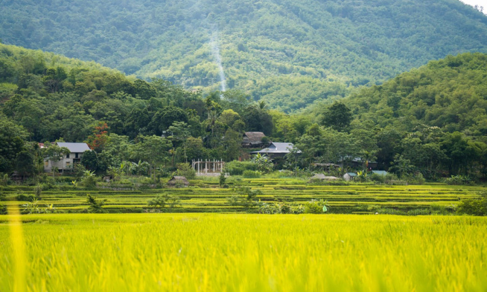 Đắm say một Pù Luông đẹp như tranh mùa lúa xanh