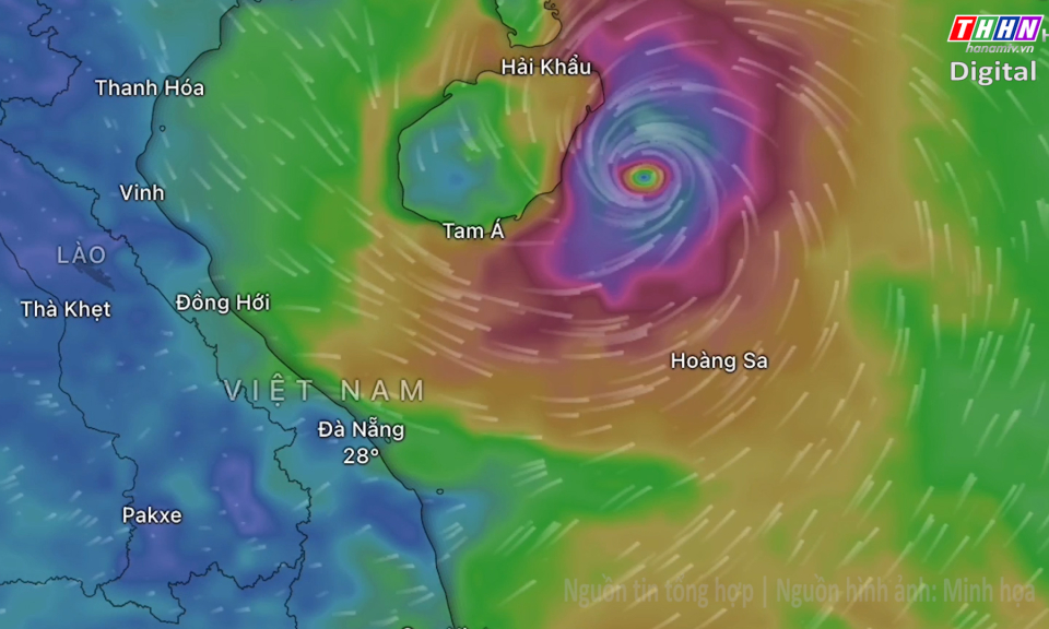 Nhịp sống 24/7 ngày 04.9.2024