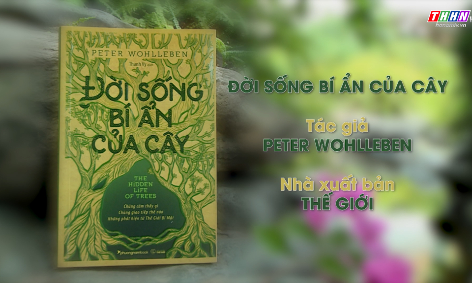 Sách hay thay đổi cuộc đời - Số 68: Đời sống bí ẩn của cây
