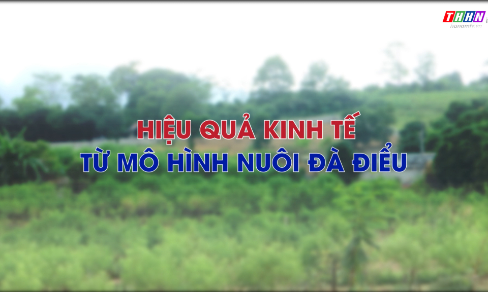 PS:  Hiệu quả kinh tế từ mô hình nuôi đà điểu