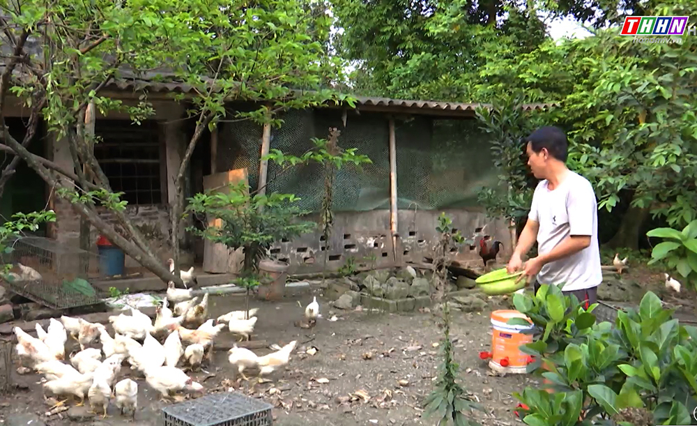 Mô hình chăn nuôi của gia đình Ngô Văn Mai, thôn Kiều Đan Thượng, xã Tiên Tân, TP Phủ Lý 