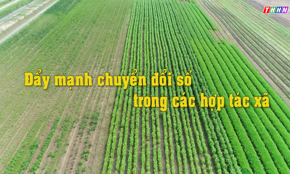 CĐS: Đẩy mạnh chuyển đổi số trong các hợp tác xã