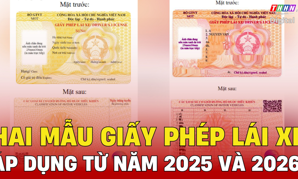 TTXH: Hai mẫu giấy phép lái xe áp dụng từ năm 2025 và 2026