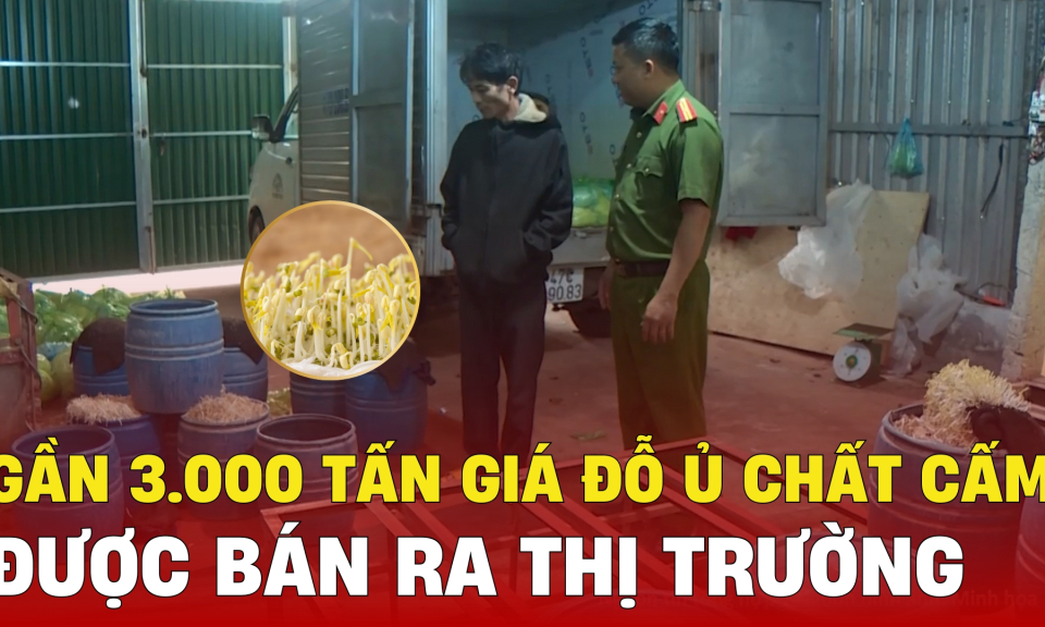 TTXH: Gần 3.000 tấn giá đỗ ủ chất cấm có thể gây dị tật được bán ra thị trường