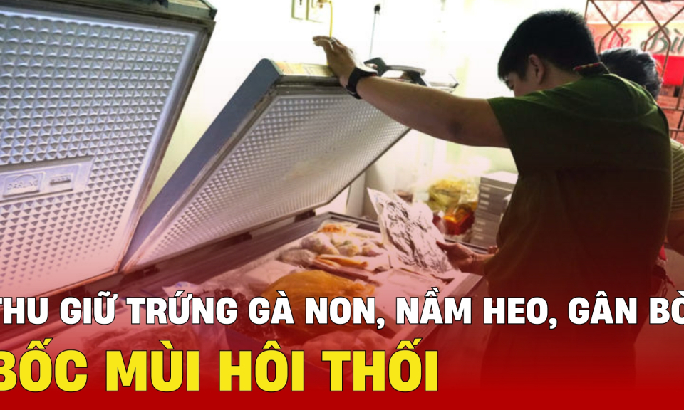 TTXH: Thu giữ 268 kg trứng gà non, nầm heo, gân bò… bốc mùi hôi thối