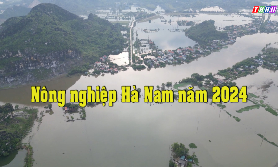 NTM: Nông nghiệp Hà Nam năm 2024
