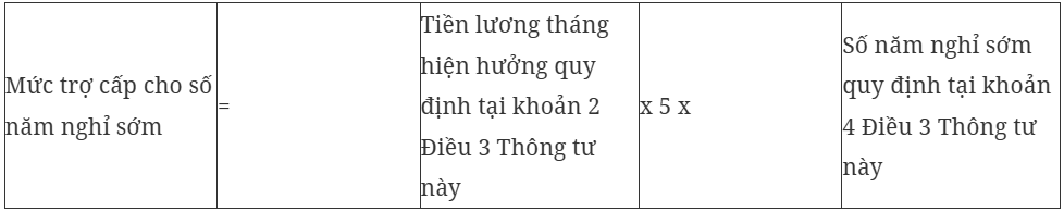 Hướng dẫn cách tính hưởng chính sách đối với người nghỉ hưu trước tuổi - Ảnh 3.