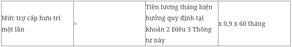 Hướng dẫn cách tính hưởng chính sách đối với người nghỉ hưu trước tuổi - Ảnh 5.