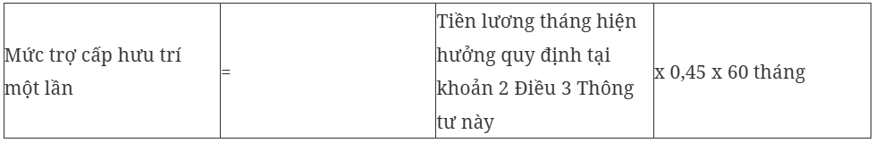 Hướng dẫn cách tính hưởng chính sách đối với người nghỉ hưu trước tuổi - Ảnh 6.