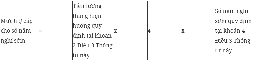 Hướng dẫn cách tính hưởng chính sách đối với người nghỉ hưu trước tuổi - Ảnh 7.
