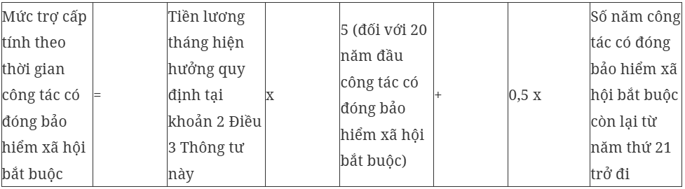 Hướng dẫn cách tính hưởng chính sách đối với người nghỉ hưu trước tuổi - Ảnh 8.