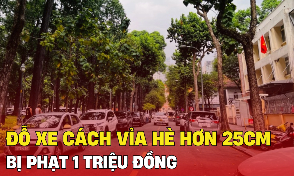TTXH: -	Từ 2025, đỗ xe cách vỉa hè hơn 25cm bị phạt 1 triệu đồng