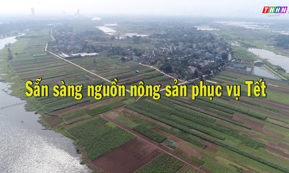 NTM: Sẵn sàng nguồn nông sản phục vụ Tết