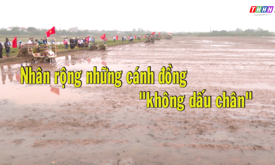 NTM: Nhân rộng cánh đồng “không dấu chân”