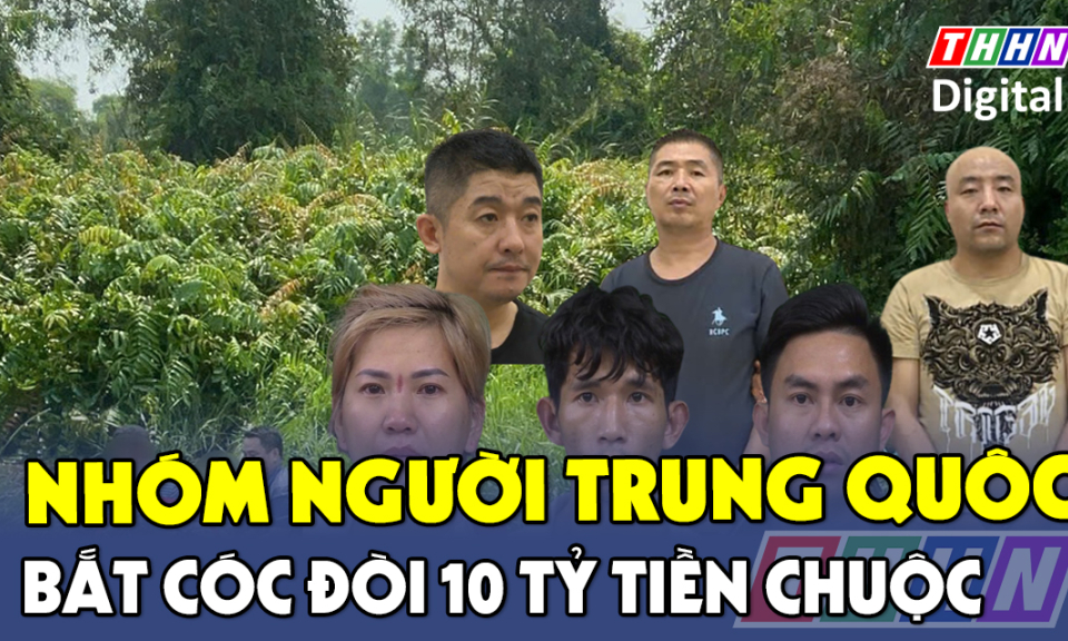 TTXH: Băng nhóm người Trung Quốc bắt cóc, đòi 10 tỷ đồng tiền chuộc